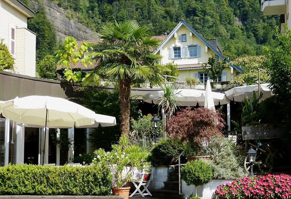 Hotel Rigi Vitznau-1